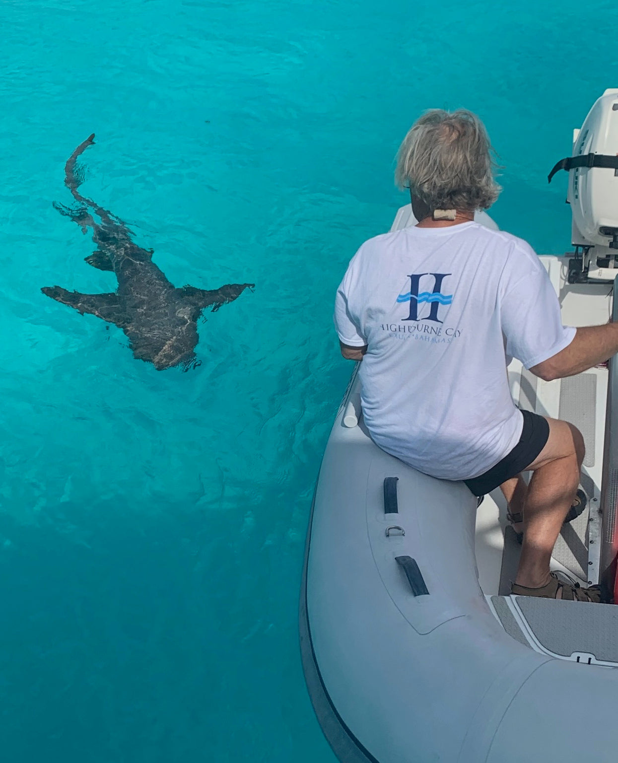KORKZ founder Ron Hesmer watching a nurse shark in the crystal clear waters of the Exumas Bahamas

